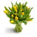 yellow tulips bouquet
