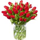 Rode tulpen boeket