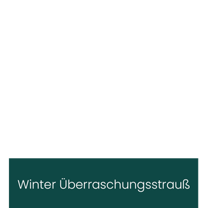 Winter Überraschungsstrauß overlay