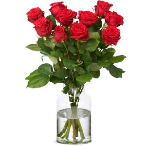 10 red roses - Premium Red Naomi