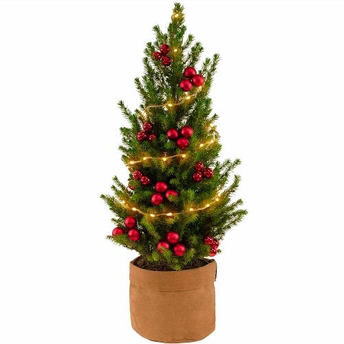 Mini kerstboom rood + gratis bruine zak