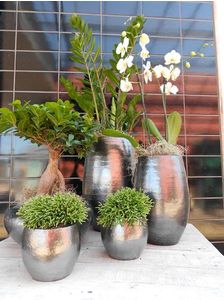 Mooie potten van Fons Klaren Bloemen en Interieurbeplanting