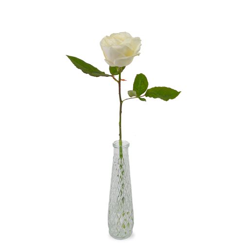 Premium weiße Rose | Inkl. Vase