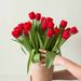 Bouquet of red tulips