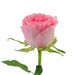 3 Rosa Rosengeschenk | Inkl. Vase