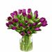 Bouquet de tulipes violettes (large)