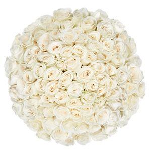 80 witte rozen | Bloemist