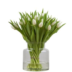 Bunch of white tulips