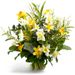 Daffodil day