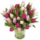 Boeket met paarse, witte en roze tulpen