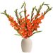 Oranje gladiolen