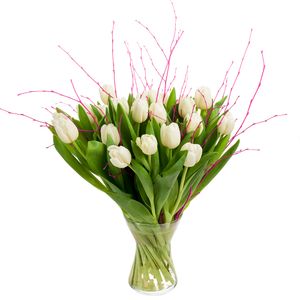 25 white tulips with birch twigs