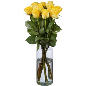 10 Gelbe Rosen Premium