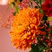 Bouquet d'automne Thalia