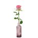 Rose rose de qualité supérieure + vase