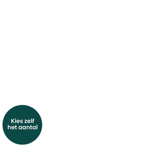 Lange rode rozen | kies aantal overlay