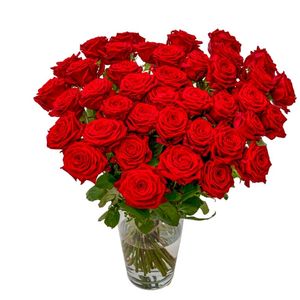 30 Red Roses - Premium Red Naomi