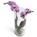 Trendy tower Phalaenopsis Orchids