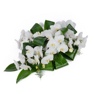 White funeral arrangement orchid