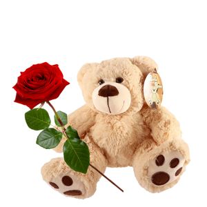 Rose with bear