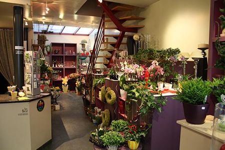 Foto binnen in de bloemenwinkel Bloemen Ixora Mechelen