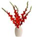 Glaïeul rouge (small)