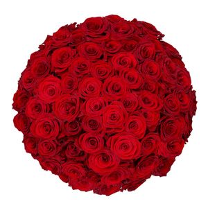 60 Red Roses - Premium Red Naomi