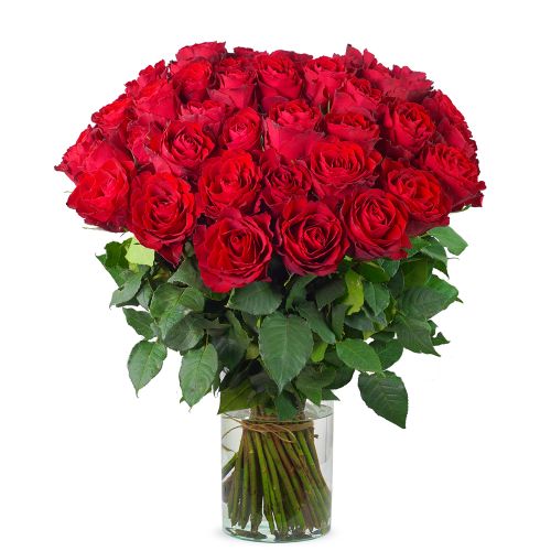 80 roses rouges