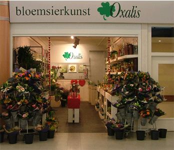 Bloemsierkunst Oxalis