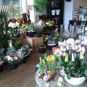 In de bloemenwinkel van Bloemsierkunst Het Mekkelholt Enschede