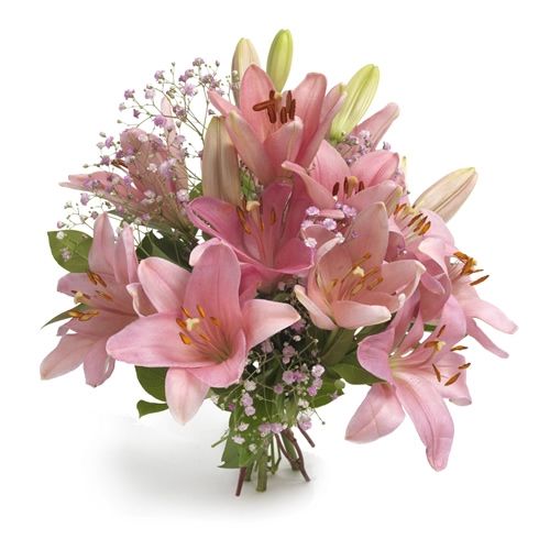 Great pink lilies