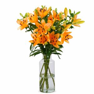 Lilies - Orange Lilies