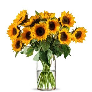 10 Sonnenblumen