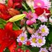 Pink and red bouquet with vase
