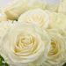 100 witte rozen | Bloemist