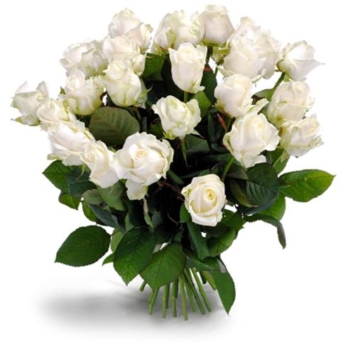 white roses as a bouquet