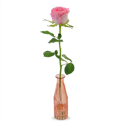Premium roze roos | Inclusief vaas