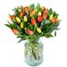 Tulpenboeket Stralend (large)