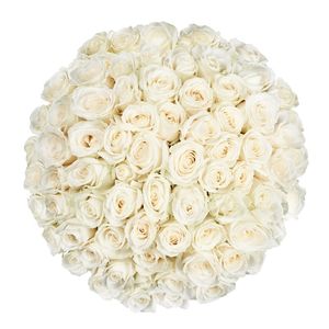 60 witte rozen | Bloemist