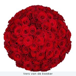 70 Red Roses | Grower