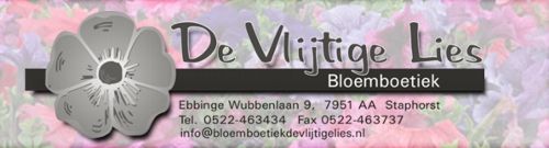 Logo van Bloemboetiek De Vlijtige Lies in Staphorst