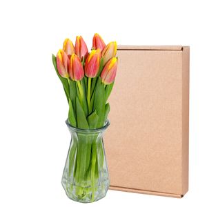 Letterbox Warm Multicolour Tulips