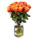 20 roses orange (50 cm)