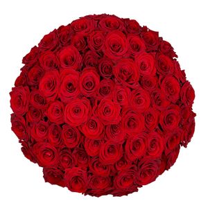 70 Red Roses - Premium Red Naomi