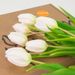Mailbox white Tulips