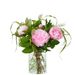 Roze pioenrozen Gwen (small)