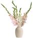 Witte en roze gladiolen (small)