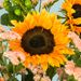Bouquet of the month July