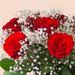 Rote Rosen mit Schleierkraut mit Vase