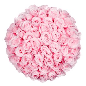 50 premium roze rozen